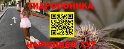 тгк Будённовск