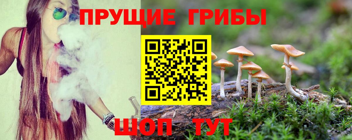 Галлюциногенные грибы мухоморы Южно-Сахалинск